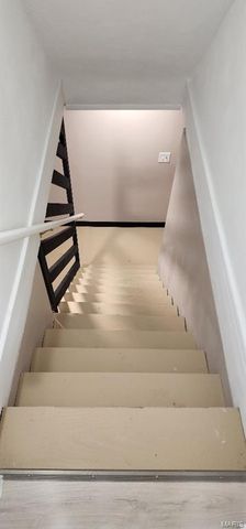 9808 Zykan Drive, St Louis, MO 63114