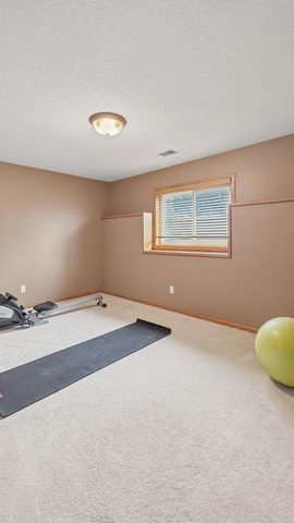 3337 138th Lane NW, Andover, MN 55304