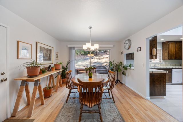17642 Stella Ct, Pioneer, CA 95666