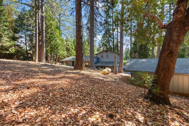 17642 Stella Ct, Pioneer, CA 95666
