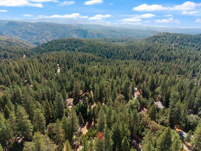 17642 Stella Ct, Pioneer, CA 95666