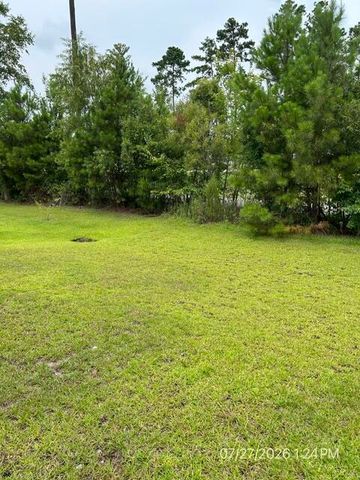 620 Chigwell Springs Lane, Summerville, SC 29486
