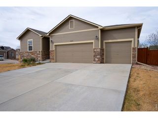 3610 Sunrose St, Wellington, CO 80549