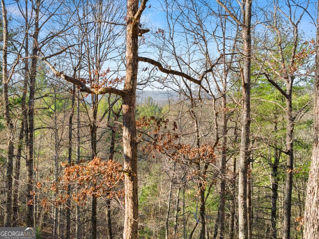 234 Old Indian Trail, Blue Ridge, GA 30513