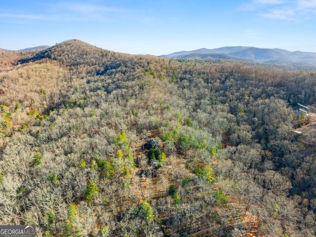 234 Old Indian Trail, Blue Ridge, GA 30513