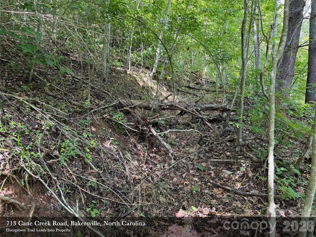 713 Cane Creek Road, Bakersville, NC 28705