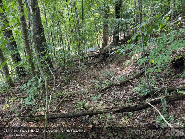 713 Cane Creek Road, Bakersville, NC 28705
