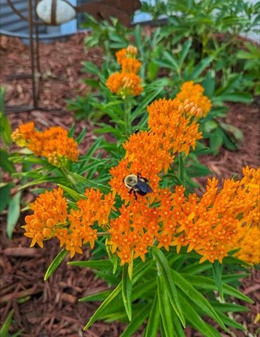 7200 Newton Avenue N, Brooklyn Center, MN 55430