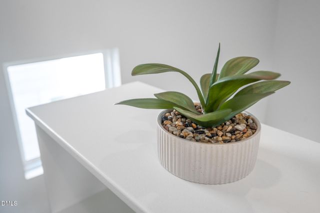 303 Truce Street B, Durham, NC 27703