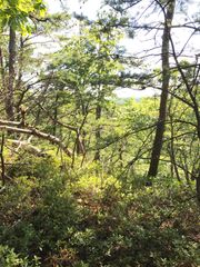 0 S South Fork Road, Stanton, KY 40380