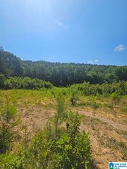 0 COUNTY ROAD 12, Odenville, AL 35120