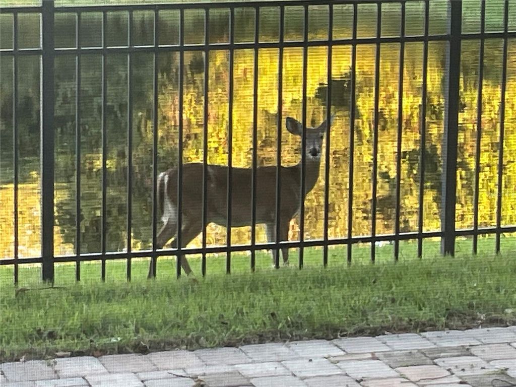 Image 50 of property listing at 2535 TETON STONE RUN, Orlando, FL 32828