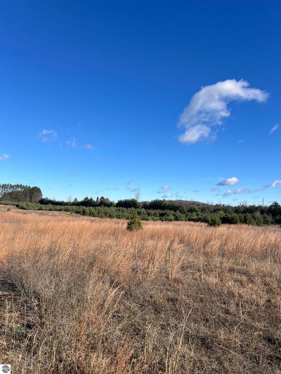 Image 1 of property listing at Vacant Land Johnson Road, Bellaire, MI 49615