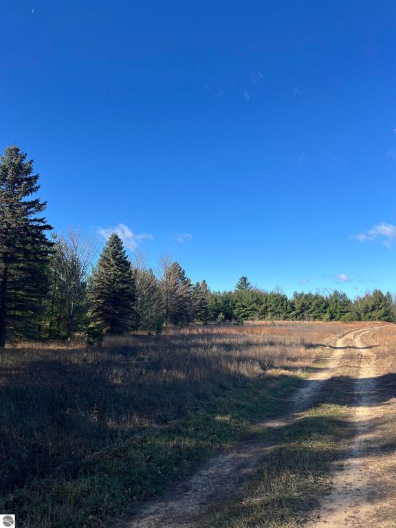 Image 4 of property listing at Vacant Land Johnson Road, Bellaire, MI 49615