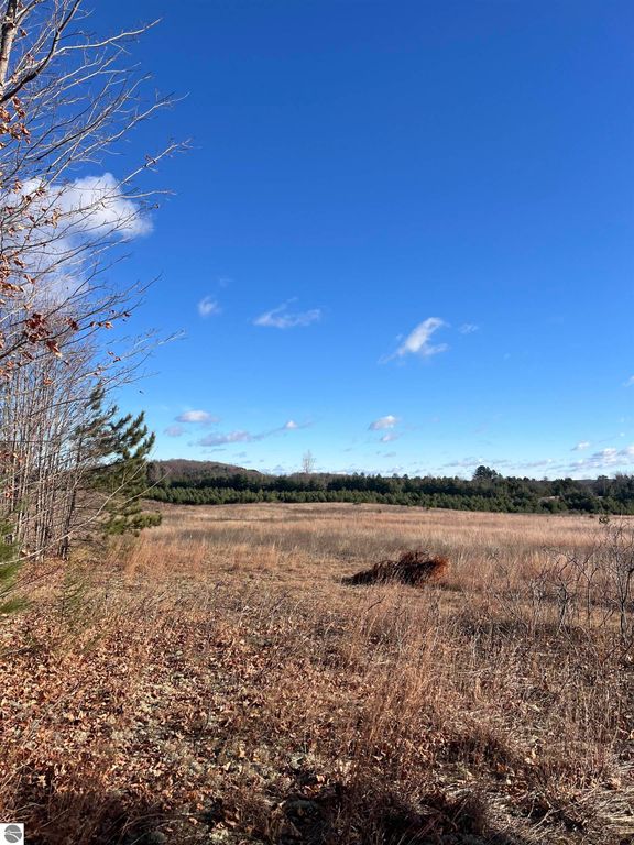 Image 6 of property listing at Vacant Land Johnson Road, Bellaire, MI 49615