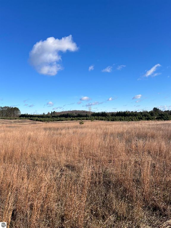 Image 7 of property listing at Vacant Land Johnson Road, Bellaire, MI 49615