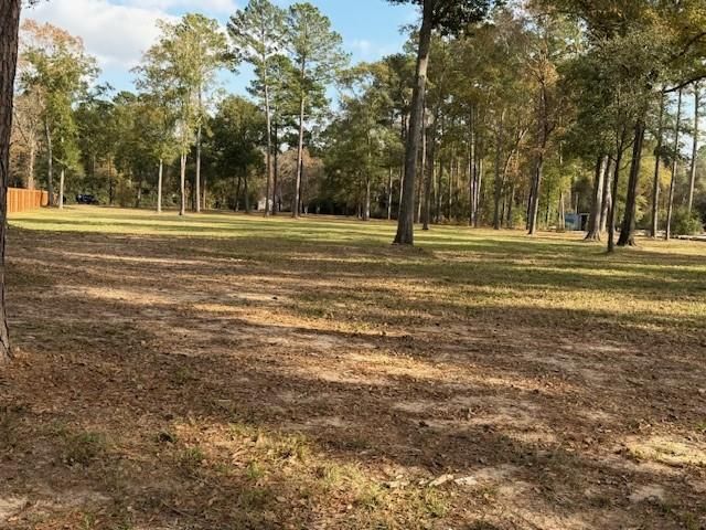 21405 Roberts Cemetery Road, Hockley, TX 77447