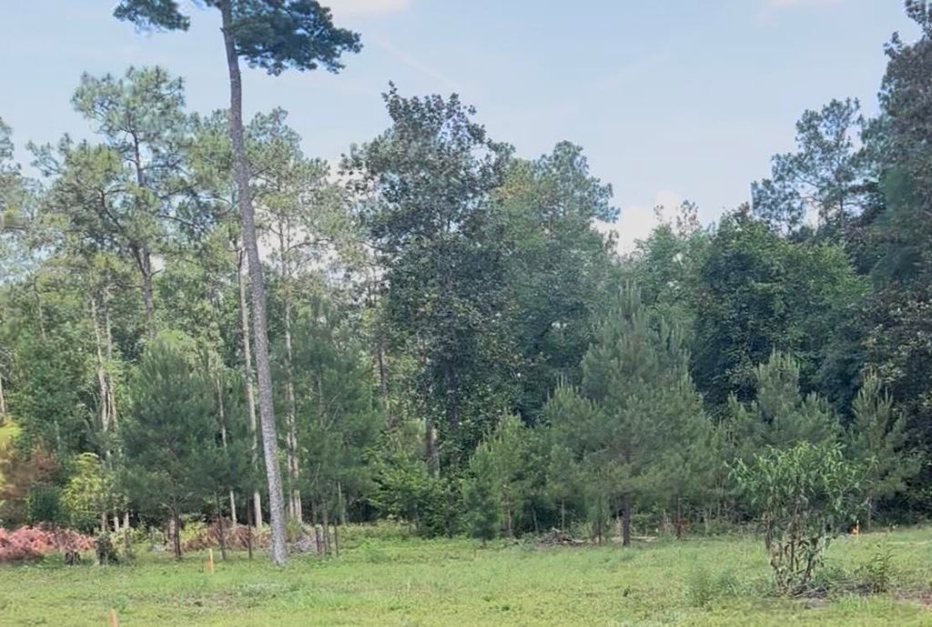 4914 Old Federal Road, Quincy, FL 32351