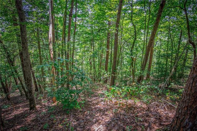 LT104 Mountain Creek Hollow Drive, Talking Rock, GA 30175