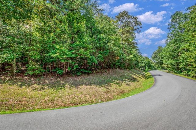 LT104 Mountain Creek Hollow Drive, Talking Rock, GA 30175