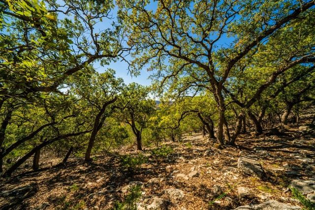 277 Stablewood Springs Dr # 14, Ingram, TX 78025