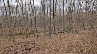 Lot 4 Collie Brook Road, East Hampton, CT 06424