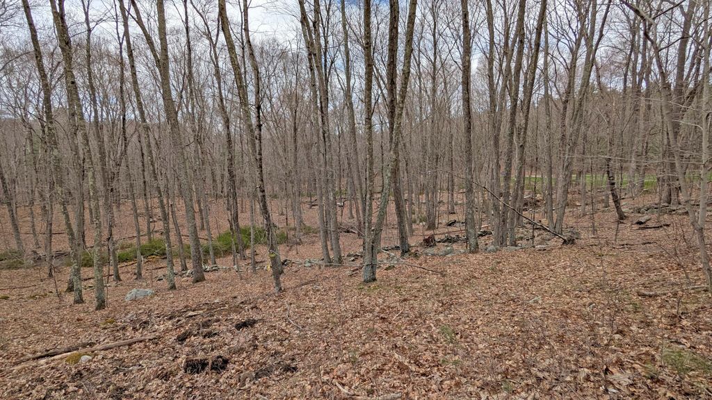 Lot 4 Collie Brook Road, East Hampton, CT 06424