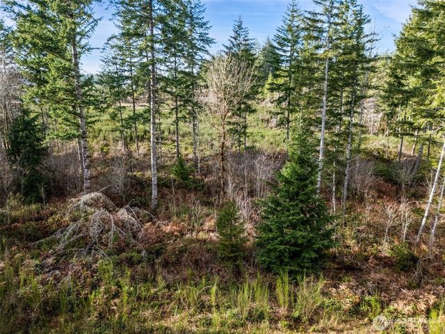 0 Lot 5 E Pickering Road, Shelton, WA 98584