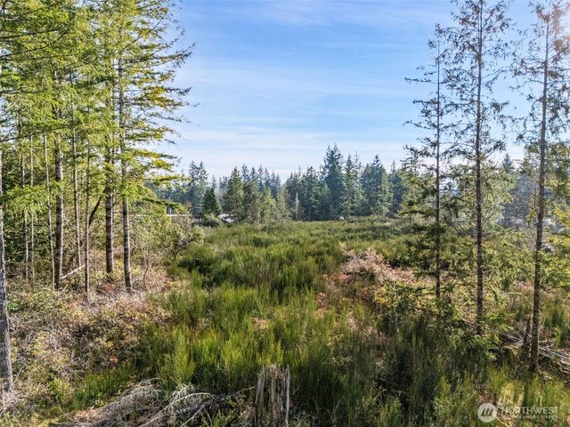 0 Lot 5 E Pickering Road, Shelton, WA 98584