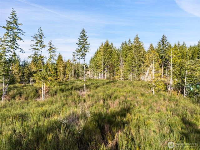 0 Lot 5 E Pickering Road, Shelton, WA 98584