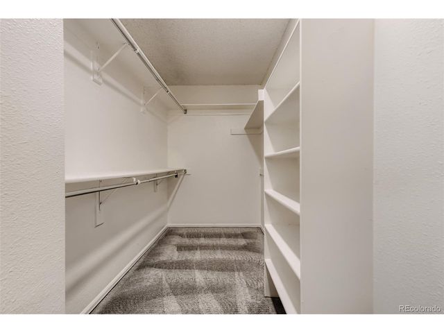 4551 N Blazingstar Trl, Castle Rock, CO 80109