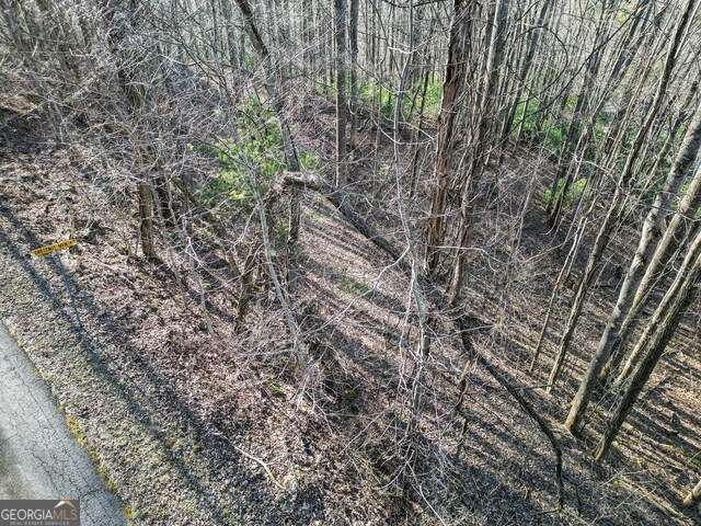 0 Chestnut Mountain Drive, Rabun Gap, GA 30568