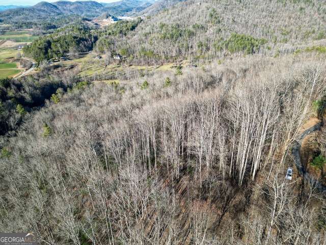 0 Chestnut Mountain Drive, Rabun Gap, GA 30568