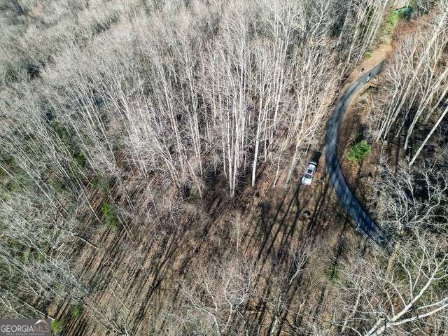 0 Chestnut Mountain Drive, Rabun Gap, GA 30568