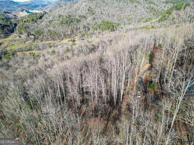 0 Chestnut Mountain Drive, Rabun Gap, GA 30568