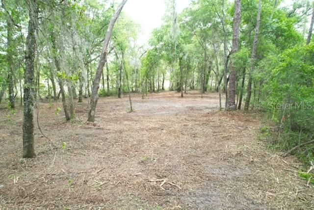 LOCUST RUN COURSE, Ocala, FL 34472