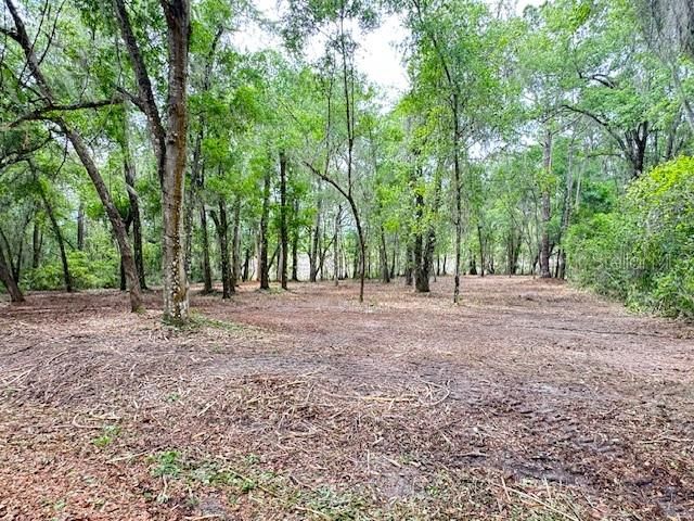 LOCUST RUN COURSE, Ocala, FL 34472