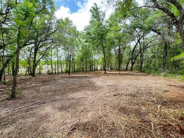LOCUST RUN COURSE, Ocala, FL 34472