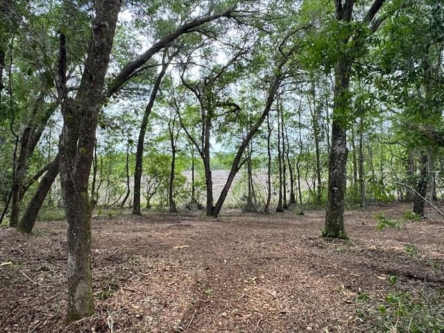 LOCUST RUN COURSE, Ocala, FL 34472