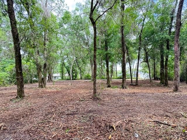 LOCUST RUN COURSE, Ocala, FL 34472