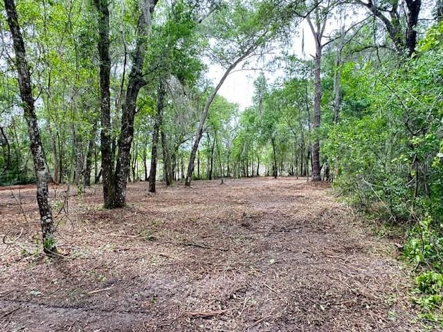 LOCUST RUN COURSE, Ocala, FL 34472