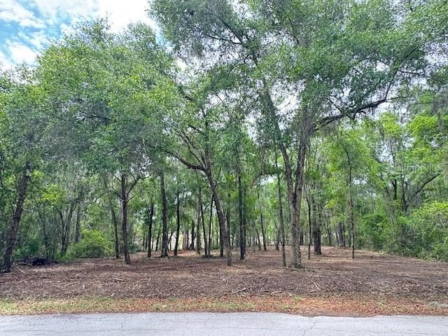 LOCUST RUN COURSE, Ocala, FL 34472