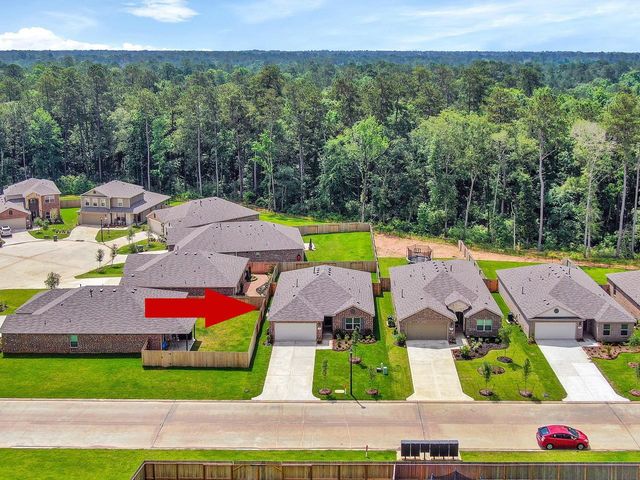 8003 Dauntless Drive, Magnolia, TX 77354