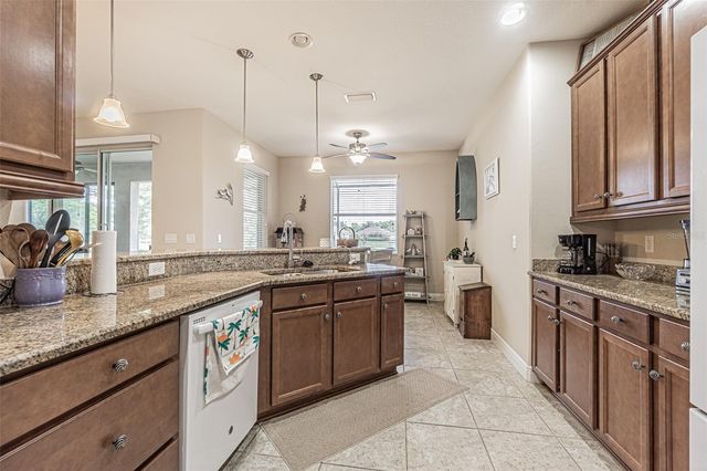 29203 GRASS BUNKER DRIVE, San Antonio, FL 33576