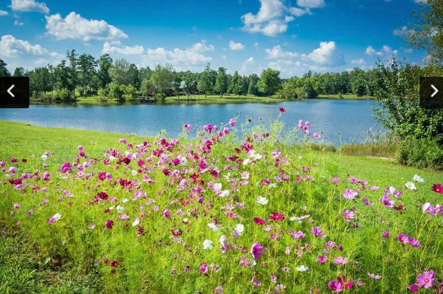 Lot 555 Oak Leaf Lane 555, Dunlap, TN 37327