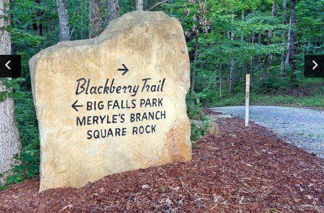 Lot 555 Oak Leaf Lane 555, Dunlap, TN 37327