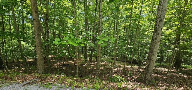 Lot 555 Oak Leaf Lane 555, Dunlap, TN 37327