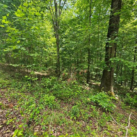 Lot 555 Oak Leaf Lane 555, Dunlap, TN 37327