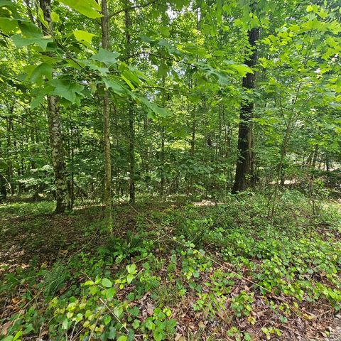 Lot 555 Oak Leaf Lane 555, Dunlap, TN 37327