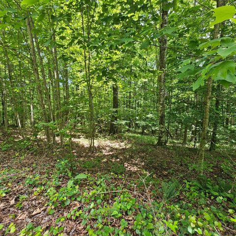 Lot 555 Oak Leaf Lane 555, Dunlap, TN 37327